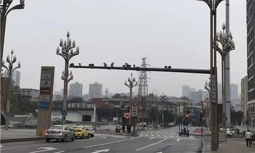 去盤龍新城要當心 這些路段的交通設施已正式啟用