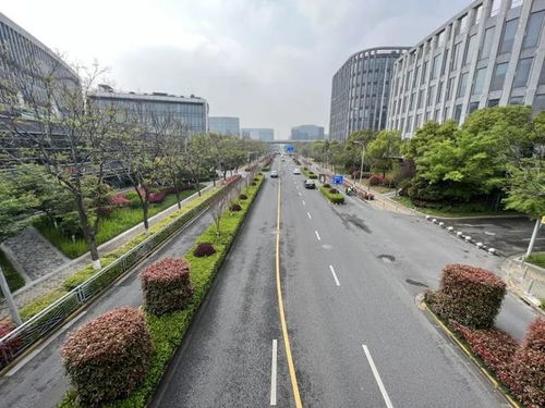 閔行區新增8條精品道路，累計創建33條，道路設施全面升級