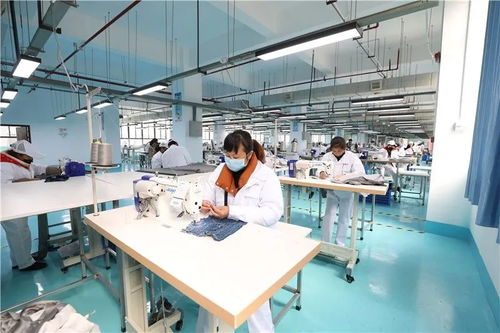 玉屏經(jīng)開區(qū) 防疫生產(chǎn)兩手抓，網(wǎng)站建設(shè)助力企業(yè)穩(wěn)步發(fā)展