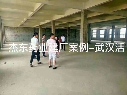 天津消毒用品廠廠房建設(shè)與配套網(wǎng)站建設(shè)規(guī)劃指南